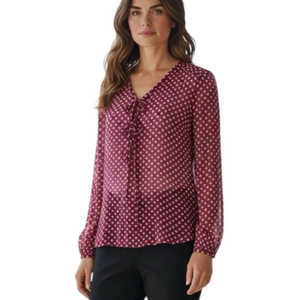 Tory Burch Sheer Silk Blend Polka Dot Blouse Red Metallic Embroidered Top Sz 6